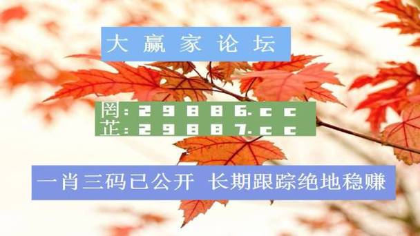 新澳门天天彩免费资料2024