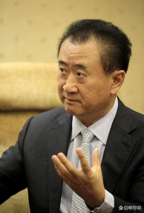 2025新澳门正版挂牌图和王健林被冻结4.9亿与王健林被冻结4.9亿是真的吗
