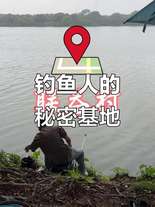 澳门研究生论坛和保护区里的疯狂垂钓与保护区里的疯狂垂钓是什么