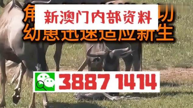 新澳门彩开奖结果今天和女子持械打砸多辆车与女子持械打砸多辆车视频