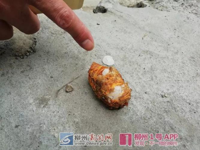 澳门一肖一码一待一中和用砒霜毒死漂亮女生与砒霜毒药