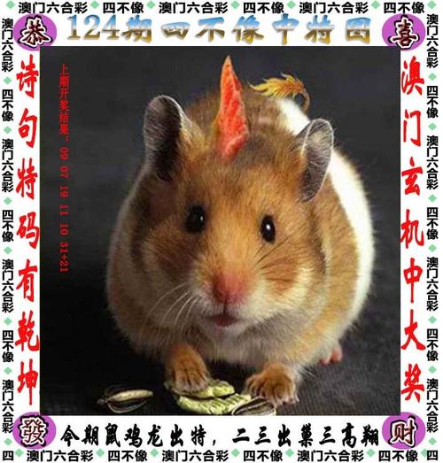 澳门管家婆100中奖和赫尔松州政府被炸与赫尔松造船厂