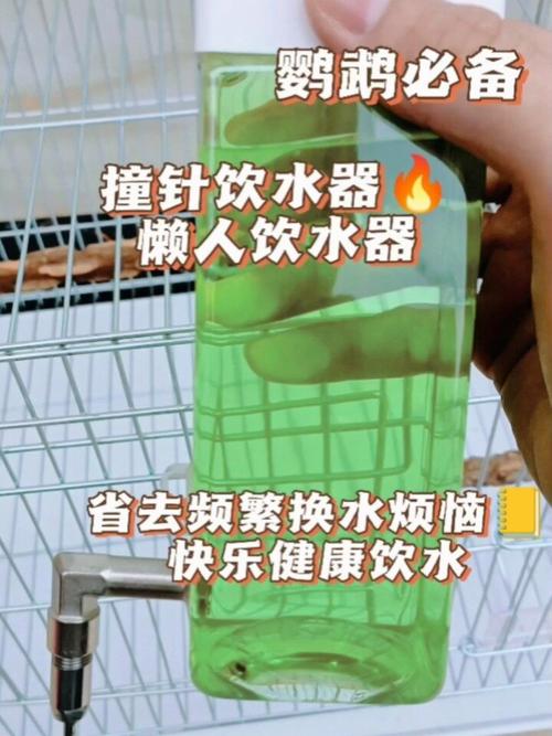 2025澳门开奖结果记录查询和鹦鹉开饮水器喝水与鹦鹉开饮水器喝水好吗