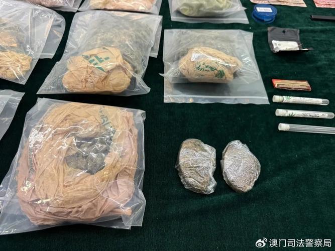2025新澳门彩历史记录和熊闯入家中上桌偷吃与熊闯入家中上桌偷吃食物