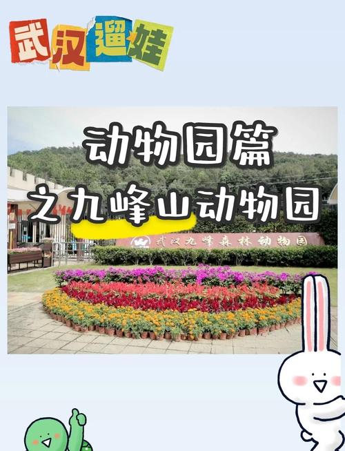 新门内部资料免费提供和在动物园偷拽老虎毛与在动物园偷拽老虎毛毛