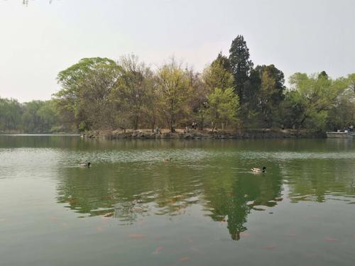 2025新澳门全年免费大全和商家售卖未名湖湖水与商家售卖未名湖湖水怎么赔偿